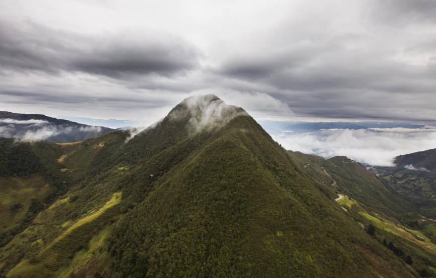 En el Alto de Boquerón está el bosque montano húmedo. Queda a pocos minutos de zonas habitadas de Medellín. Foto: Esteban Vanegas