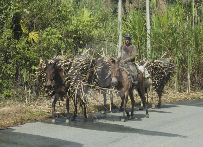 Recursos de regalías serán invertidos en vías rurales. FOTO: Manuel Saldarriaga