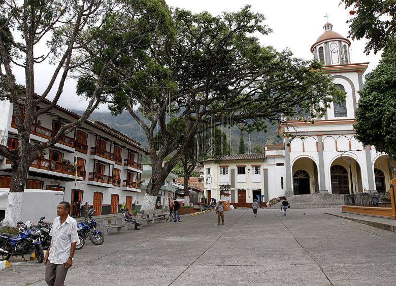 Así lucía el samán cuando seguía en pie. FOTO DONALDO ZULUAGA