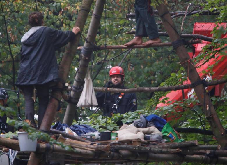 Viven en los árboles de un bosque en Alemania y los quieren desalojar