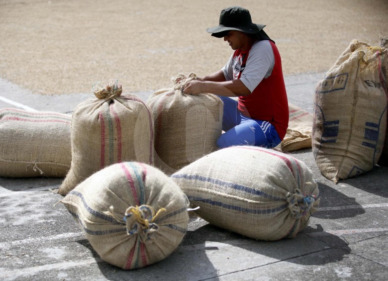 En el primer trimestre de 2019 la producción de café se redujo en un 2 % al fijarse en 3,3 millones de sacos. FOTO Manuel saldarriaga