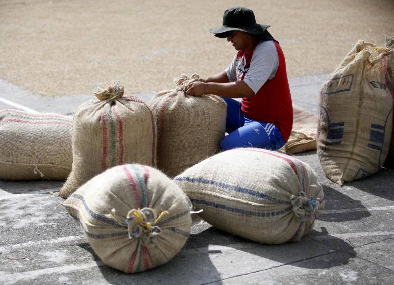 Colombia registró una cosecha de 12,1 millones de sacos en el 2014. FOTO ARCHIVO