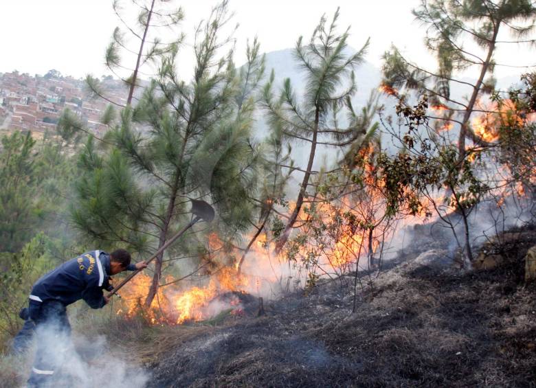 En diciembre de 2015, se registraron en Medellín 152 incendios forestales según el Dagrd. En 2015, hubo 1.135 FOTO juan a. sánchez