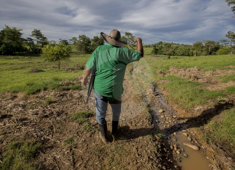 Los campesinos han resultado beneficiados por la Restitución de Tierras. FOTO Donaldo Zuluaga