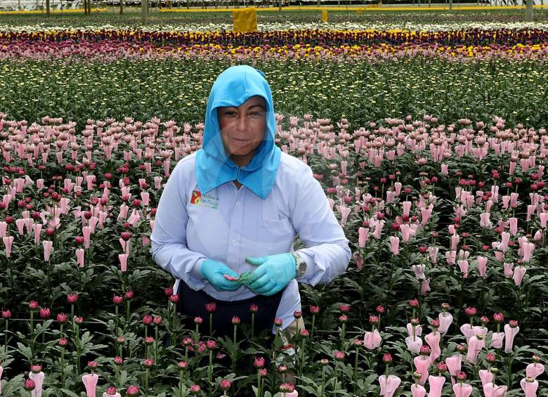 En Medellín y el Valle de Aburrá, el Dane contabilizó en el primer trimestre de este año a 1,77 millones de personas ocupadas. FOTO Julio César Herrera