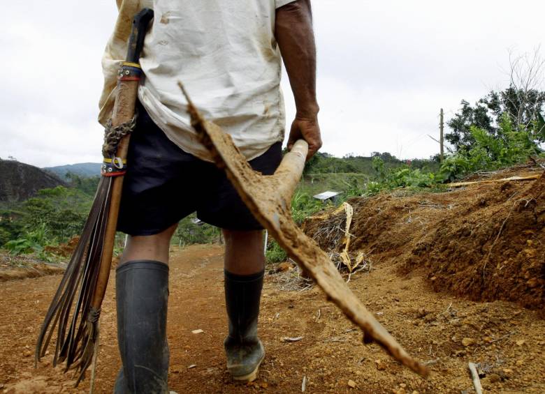 San Carlos quiere dejar de ser un pueblo fantasma