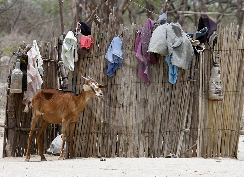 Los capturados estarían detrás del escándalo de corrupción que afecta la nutrición infantil en La Guajira. FOTO ARCHIVO