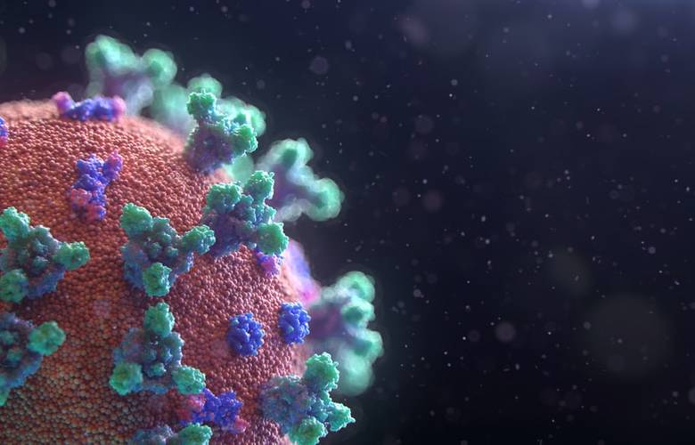 Las conclusiones del estudio muestra que el anticuerpo eliminó el virus de las células infectadas. Foto: Unsplash