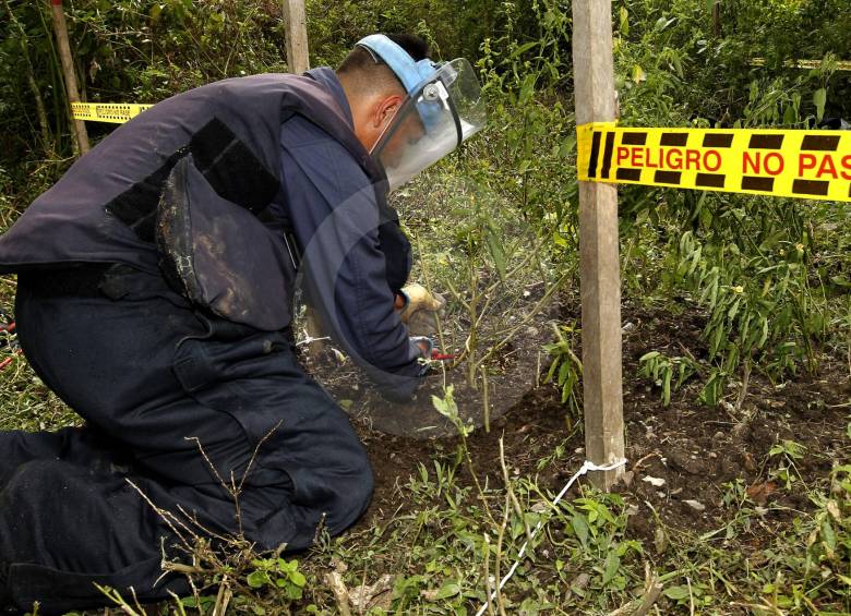 Para desminar un territorio se siguen tres pasos: un estudio no técnico que recoje las primeras informaciones, el estudio técnico que precisa la intervención, y el desminado como tal. FOTO jaime pérez