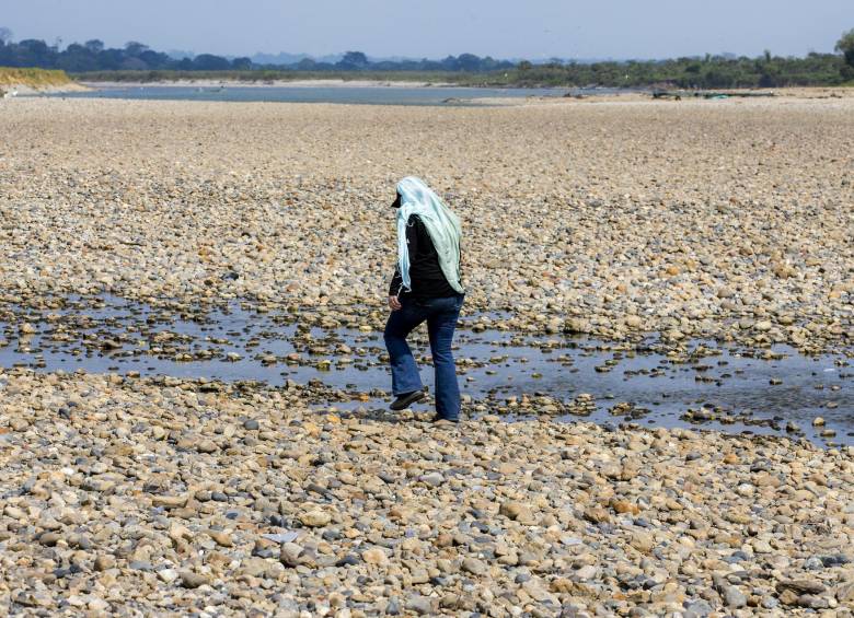 Cinco toneladas de peces murieron por el bajo nivel del agua del río Magdalena, el más importante de Colombia, a la altura de la ciénaga de Cerro de San Antonio. FOTO ARCHIVO