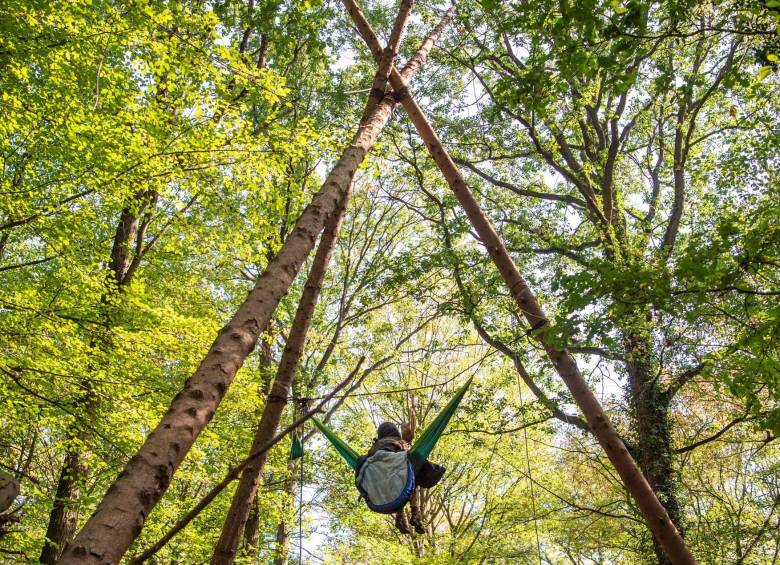 Viven en los árboles de un bosque en Alemania y los quieren desalojar