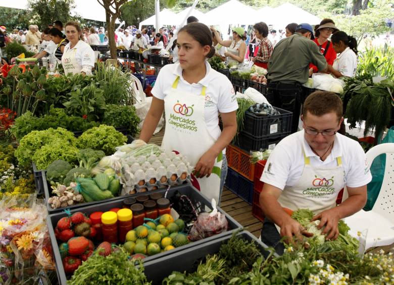  Las verduras de hojas verdes son la acelga, el apio, el brócoli, la espinaca, etc. FOTO Donaldo Zuluaga