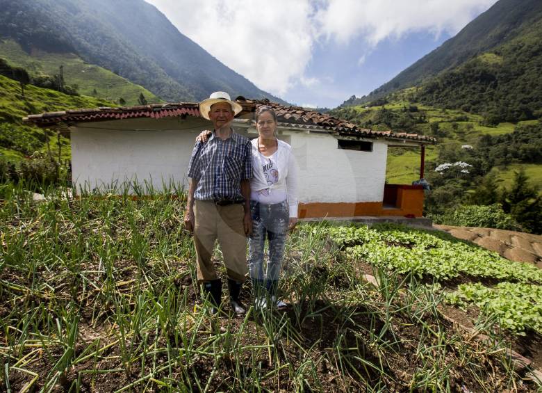 En la casa que vio crecer su familia, Gilberto Celis pasa sus días entre cultivos de cebolla y otras hortalizas. Su hija Lucy, lo acompaña cada vez que puede. FOTO julio césar herrera