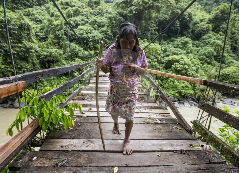 Las comunidades indígenas de la región de Urabá empiezan a obtener beneficios por cuidar el bosque y el recurso agua. FOTO jaime pérez