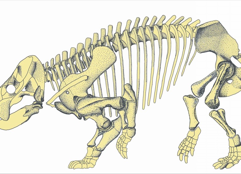 Esta es la reconstrucción del dicinidonte ancestro de los mamíferos. Foto cortesía Tomasz Sulej