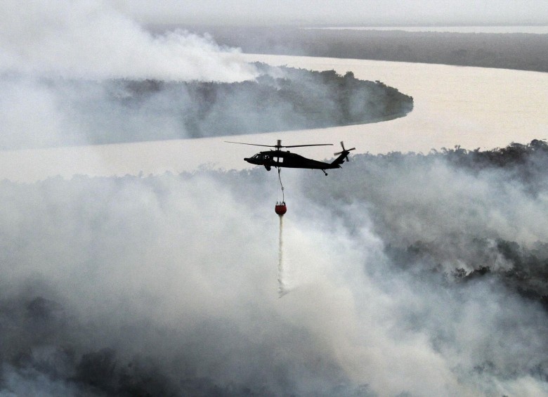 Los incendios forestales, los cultivos ilícitos y la ganadería son las principales causas de deforestación en el país. Foto: Robinson Sáenz Vargas 