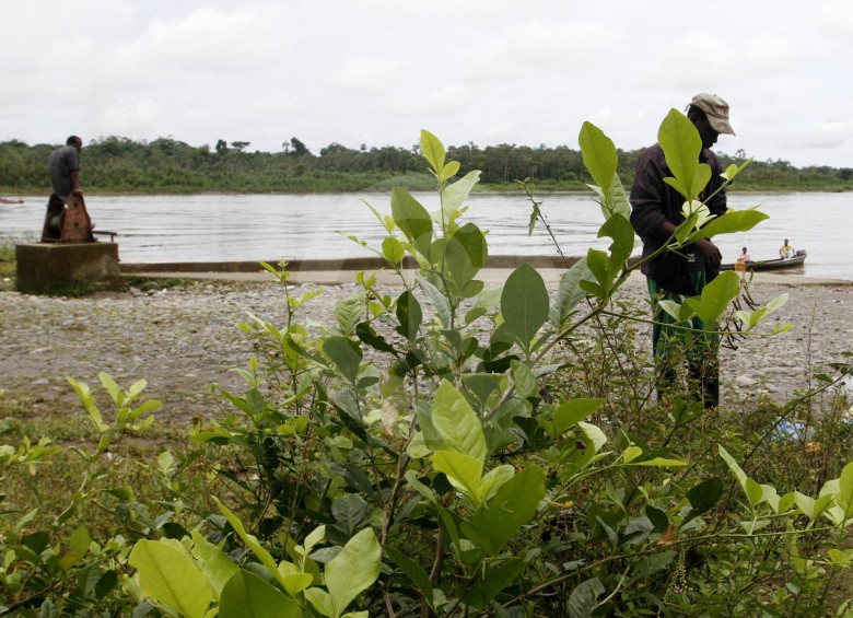 El río Mira, (foto) es un corredor utilizado por los grupos armados ilegales para el transporte de los derivados de la hoja de coca. Hay presencia de bacrim y guerrilla. FOTO donaldo zuluaga