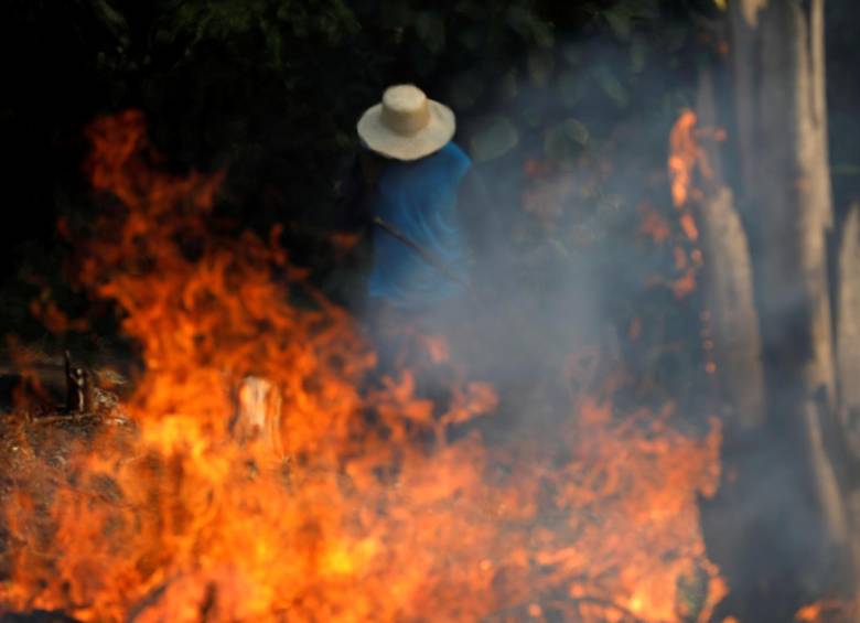 Incendios amazónicos encienden resistencia ambientalista 
