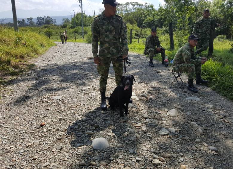 El perro, de raza labrador color negro, se encontraba con un grupo de operaciones en área rural del municipio de Suárez, departamento del Cauca, cuando sucedió el incidente. FOTO CORTESÍA