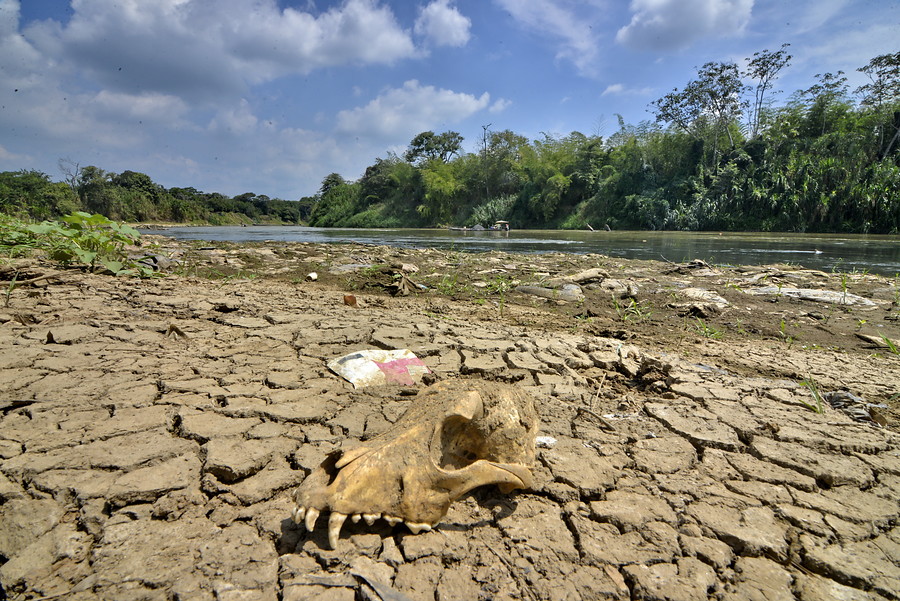 Río Cauca seco a su paso por el corregimiento de Navarro en el Valle del Cauca. FOTO: JORGE OROZCO - COLPRENSA