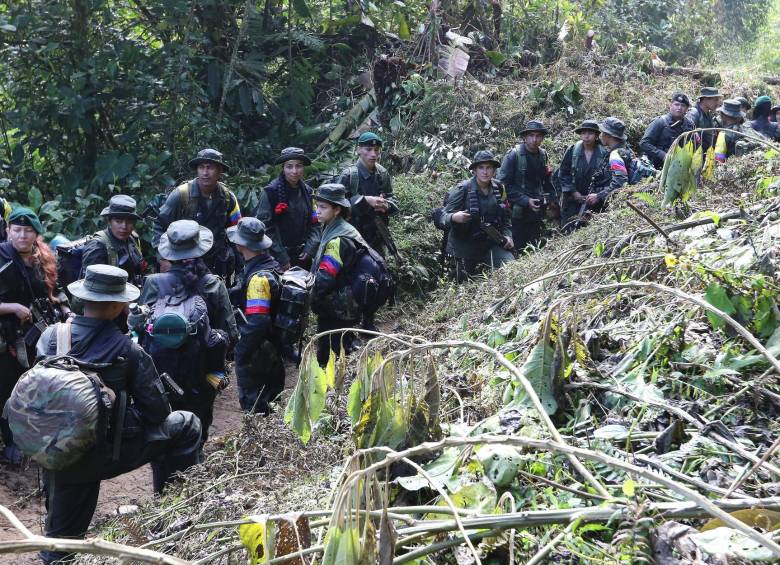 A medida que la tropa de las Farc se agrupa en las zonas veredales transitorias, crece el interrogante sobre qué pasará con sus negocios en los territorios abandonados. FOTO: Donaldo Zuluaga.