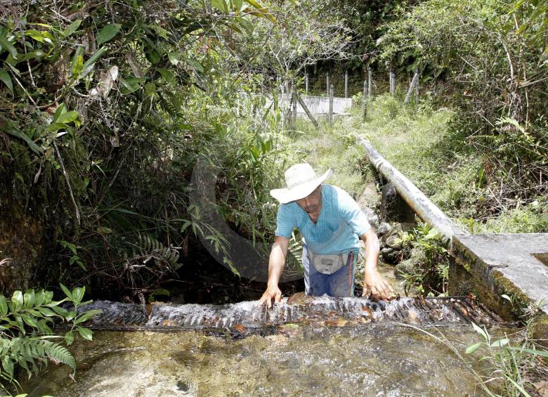 143.262 de 554.502 viviendas campesinas en Antioquia cuentan con agua potable. Cuantiosas inversiones para acceder a estas áreas, la topografía y la dispersión de los hogares, razones de la tasa mínima de cobertura departamental. Foto Archivo Donaldo Zuluaga