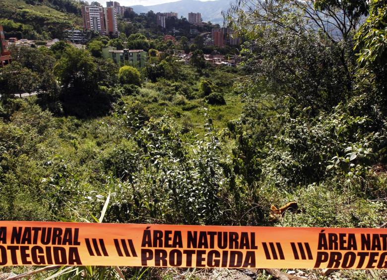 Humedal de Envigado en el barrio El Trianón es objeto de negociación. Colombia cuenta con más de 840.125 hectáreas reconocidas como humedales de importancia internacional. FOTO jaime pérez