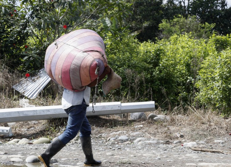 A los campesinos los carteles mexicanos y los grupos ilegales les pagan 30 mil pesos por una arroba de hoja de coca. FOTO: Manuel Saldarriaga.