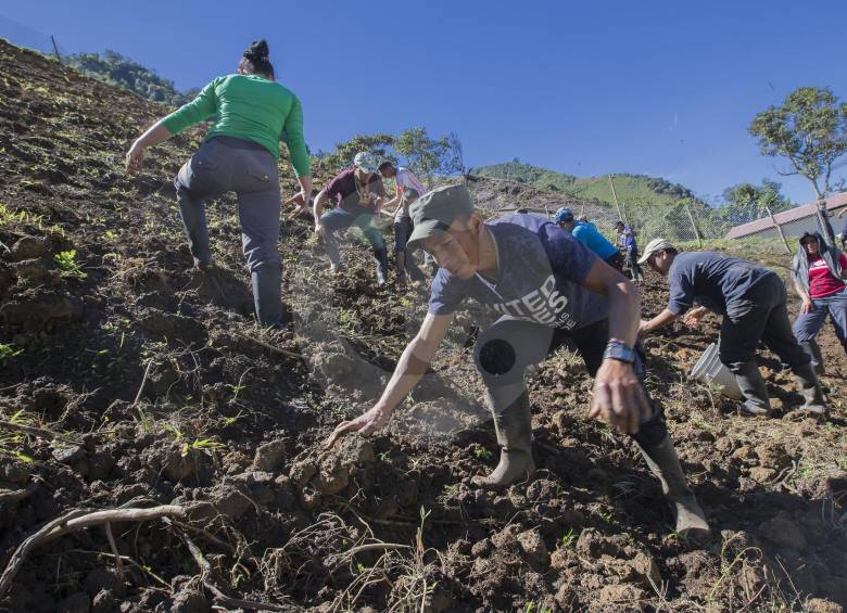 En el ETCR de Santa Lucía, Ituango (foto), le apuestan a cultivar el campo como proyectos económicos. FOTO Donaldo Zuluaga