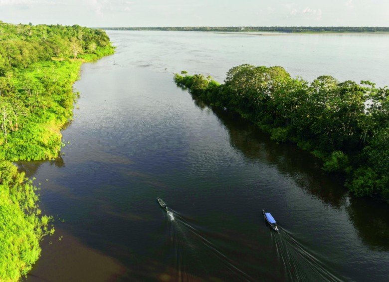 Los mosqueteros que buscan salvar la Amazonia