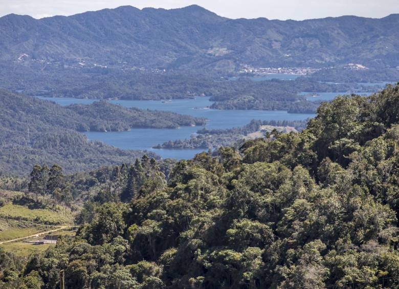 Este informe se suma a la evidencia científica que reclama proteger al menos el 30 % de la tierra y el océano del planeta, para hacer frente al alarmante colapso del mundo natural, que ahora amenaza con la extinción hasta a un millón de especies. FOTO JUAN ANTONIO SÁNCHEZ