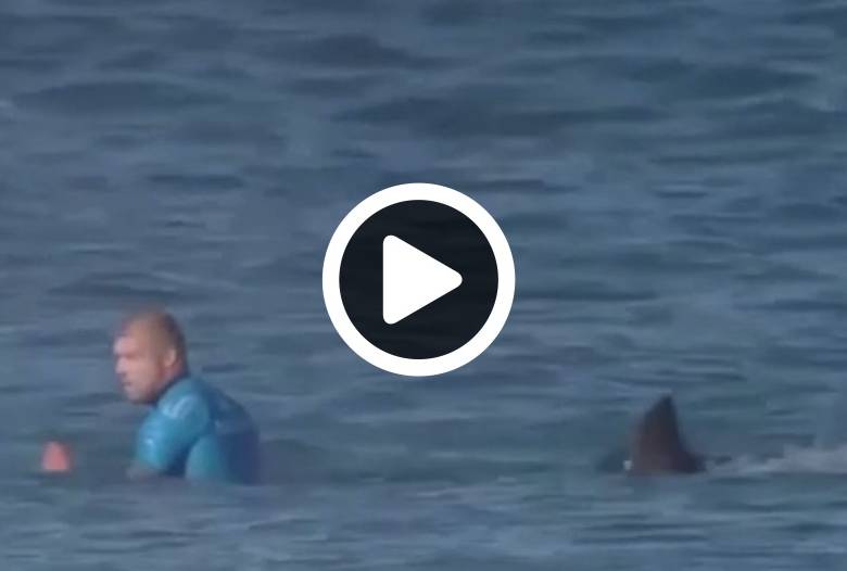 Un surfista profesional sobrevive al ataque de un tiburón
