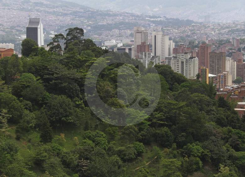Tres torres de apartamentos serían construidas en el cerro La Asomadera. Habitantes del sector se preocupan por la tala de árboles que la empresa piensa realizar. FOTO robinson sáenz