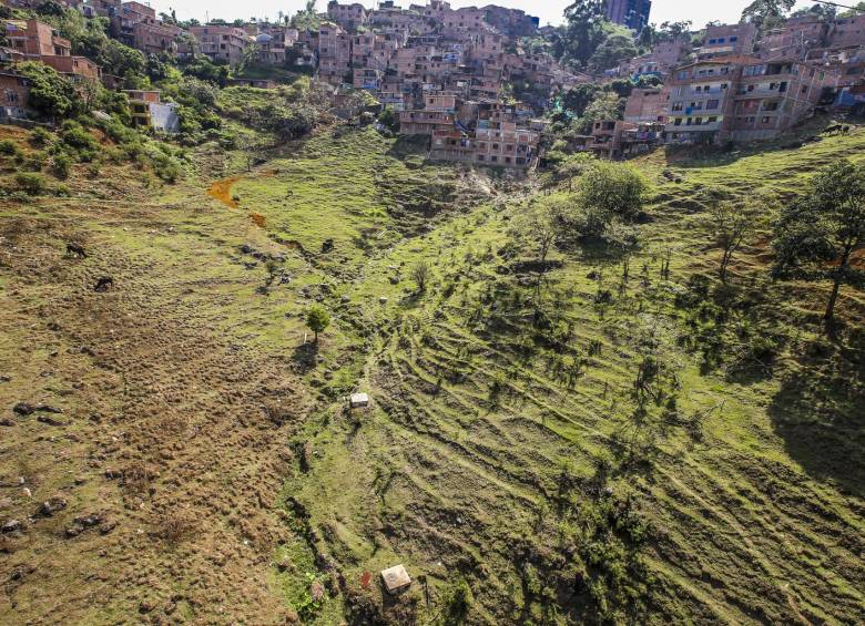 Un técnico advirtió que el lote de Candamo no era apto para desarrollar un proyecto de vivienda a corto plazo, por estar invadido. Así continúa hoy. Foto Juan Antonio Sánchez