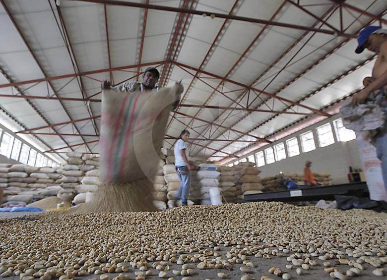 Hace un mes la Superintendencia de la Economía Solidaria ordenó la toma de posesión de los bienes, haberes y negocios de la Cooperativa de Caficultores de DelosAndes, para proteger los intereses de los productores asociados. FOTO Julio César Herrera