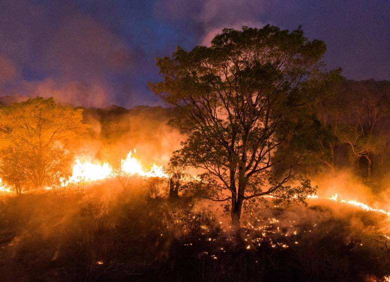 En California, Estados Unidos, se vive uno de los incendios más complejos de los últimos años. La comunidad pide acciones concretas para controlarlos. Han muerto 16 personas FOTO AFP