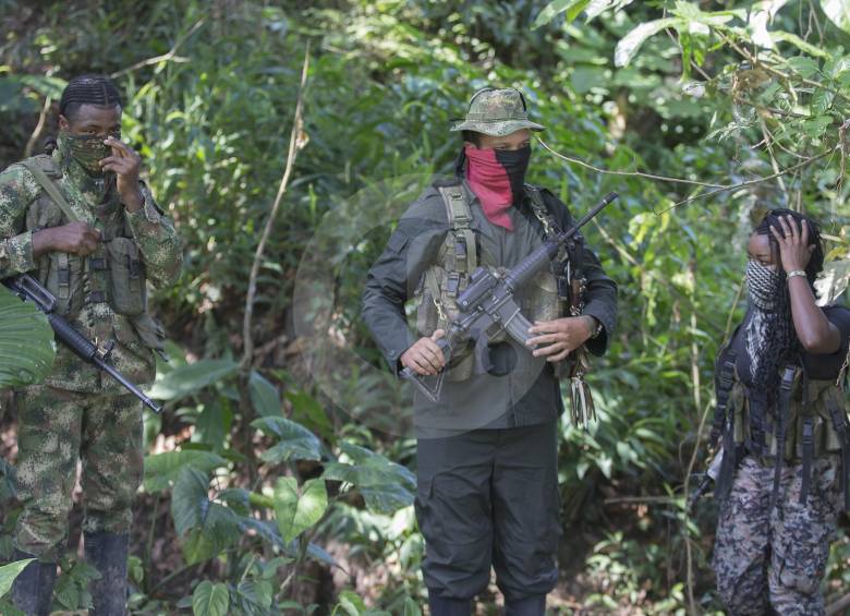 El Frente de Guerra Occidental del Eln tiene dos estructuras en Chocó. Allí también está el Clan del Golfo. FOTO Donaldo Zuluaga