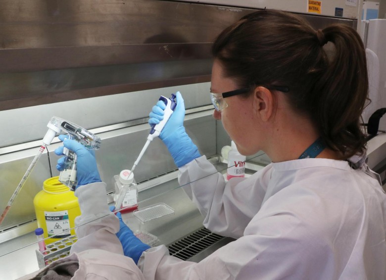 Laboratorios de todo el mundo buscan vacunas y tratamientos para combatir el coronavirus. FOTO EFE