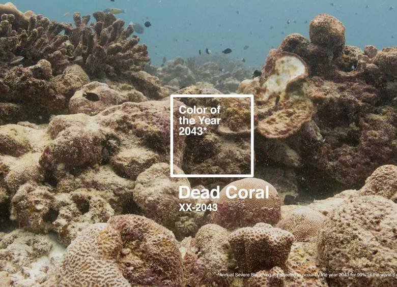 Con esta fotografía el diseñador busca dejar una reflexión sobre la protección de los corales. Foto: @rodsbistene
