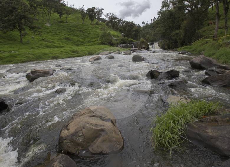 El río Chico es uno de los afluentes surtidores del embalse de Riogrande II, que también aporta el 45 % del agua que consume el Valle de Aburrá. FOTO donaldo zuluaga