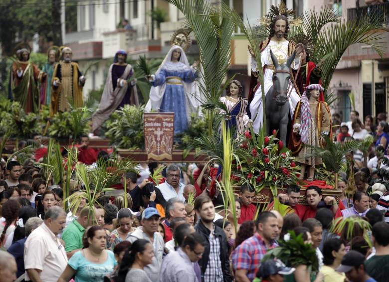 Corantioquia dijo que en los últimos años se ha reducido en 90% el uso de palma de cera como ramo. FOTO Manuel Saldarriaga