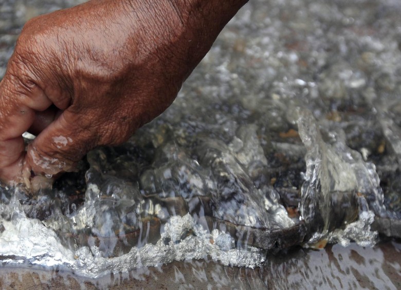 El mercurio también contamina los ríos, los mares y los peces que son luego consumidos por los seres humanos. FOTO MANUEL SALDARRIAGA
