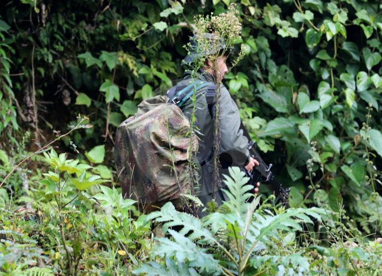 Según las Farc, lo acordado fue negado a los guerrilleros base del frente 1. FOTO Donaldo Zuluaga 