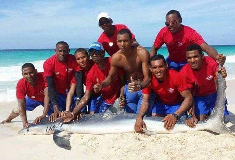 Matan a tiburón en Punta Cana para hacerse una selfie