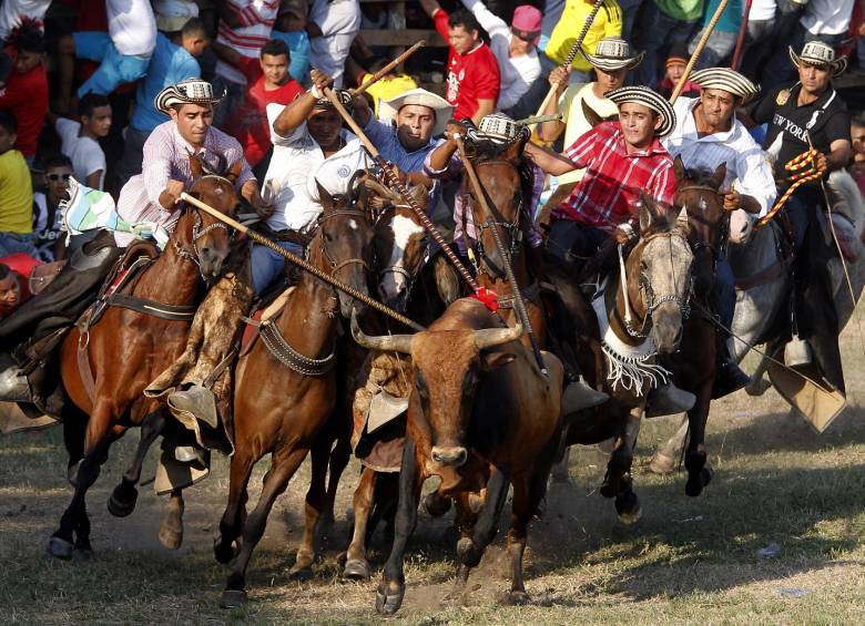 La intención de la Gobernación es abrir el debate sobre la conveniencia de este tipo de festividades a raíz de los hechos de crueldad animal que ocurrieron a principios de enero. FOTO jaime pérez