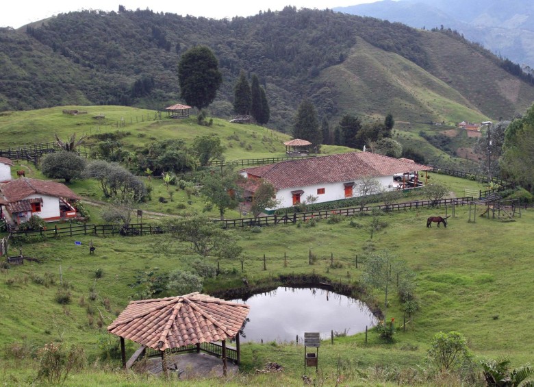 Límites de La Romera donde hay viviendas que pueden entrar en conflicto con la fauna del lugar. FOTO El Colombiano