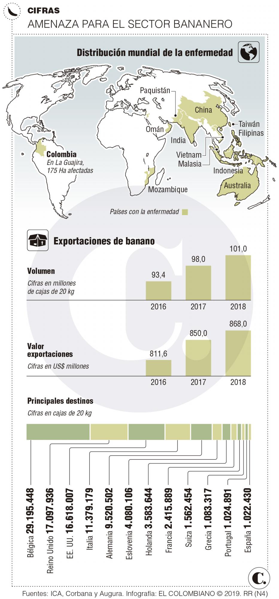 Hongo pone en jaque el banano 