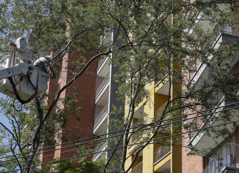 El municipio de Envigado recordó que sus acciones están ajustadas a las normas. FOTO MANUEL SALDARRIAGA