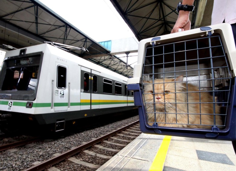 se permiten perros en los trenes de metro