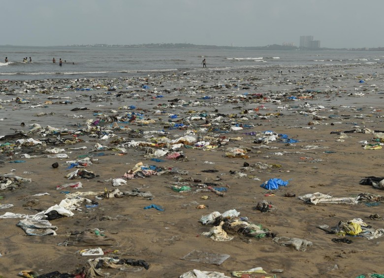 La contaminación por plástico causa la muerte de un millón de aves marinas y de 100 000 mamíferos marinos al año, según la ONU. FOTO afp